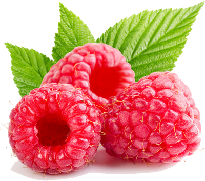 Embrace the Radiance of Red Raspberry Seed Oil in Your Skincare Routine