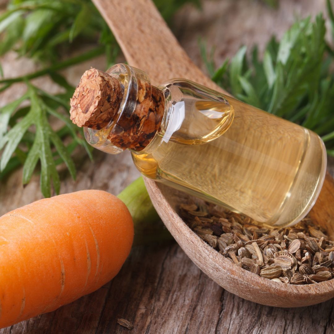 Everything You Need To Know About Retinol In Carrot Seed Oil - OmMade Organic Skincare